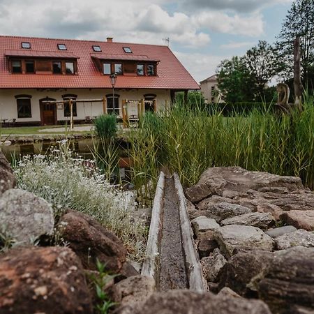 Penzion U Skutilu Pilníkov Extérieur photo